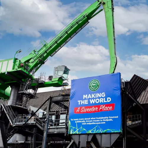 sustainability crane